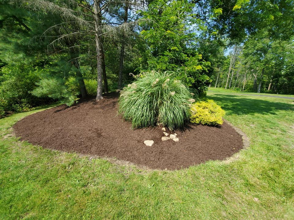 A landscaped garden bed with dark mulch is surrounded by grass. It features a tall ornamental grass and some small stones, set against a backdrop of trees in a lush green environment.