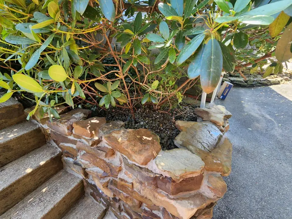 Revamped Retaining Wall