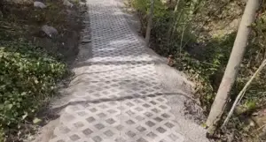 Turfstone Paver Walkway