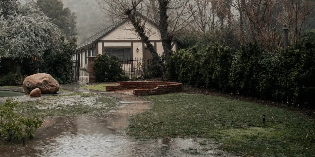 7 Ways to Spot Poor Drainage in Your Yard