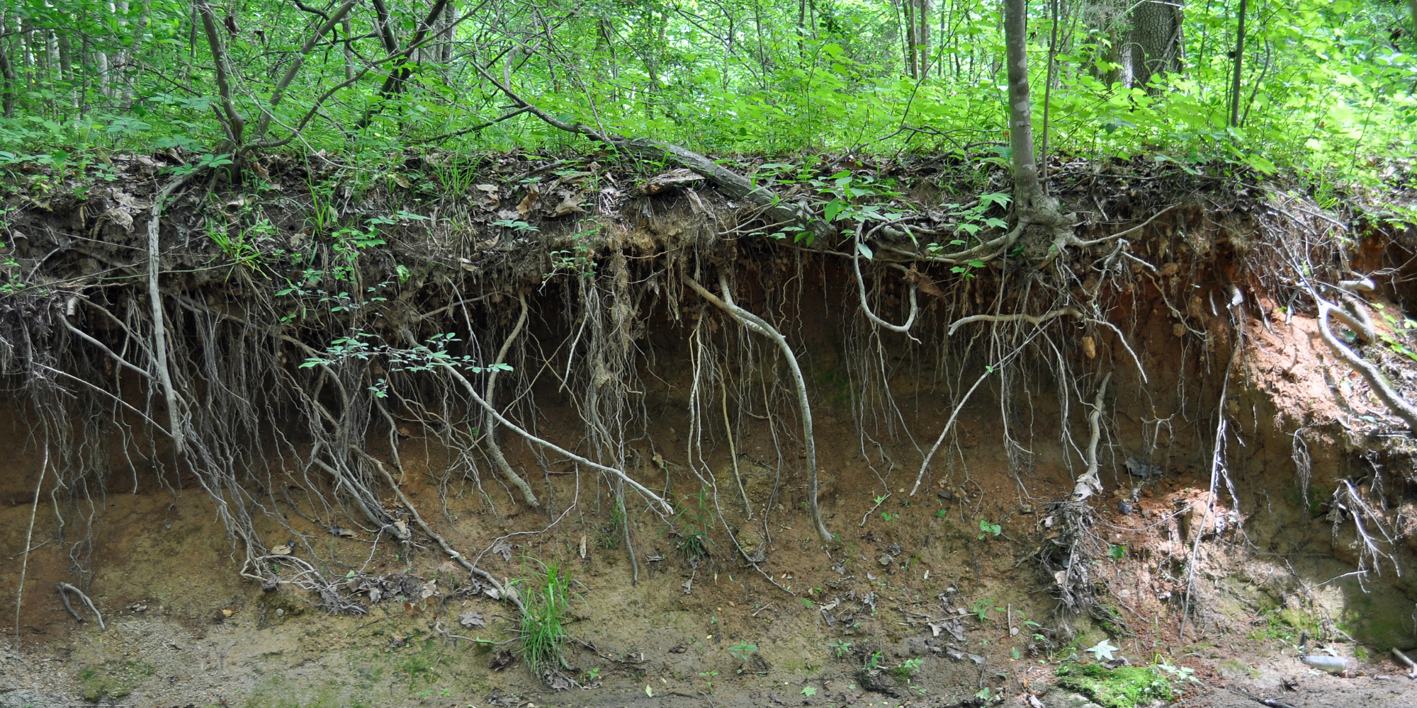 Soil Erosion
