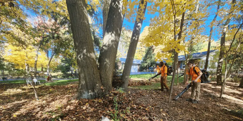 6 Fall Property Maintenance Tasks: Leaf Cleanup