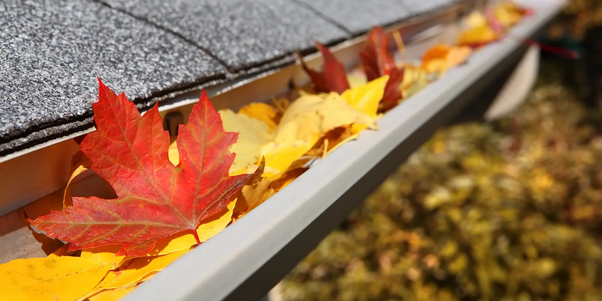 7 Tips for Drainage Inspection in Fall