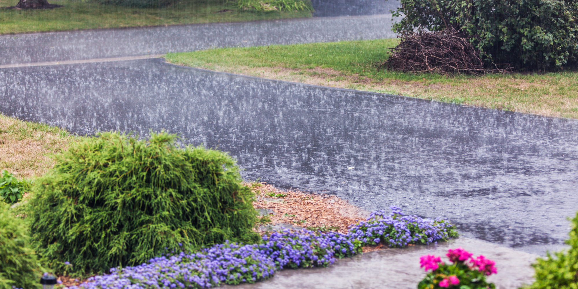 inspect driveways and hardscapes