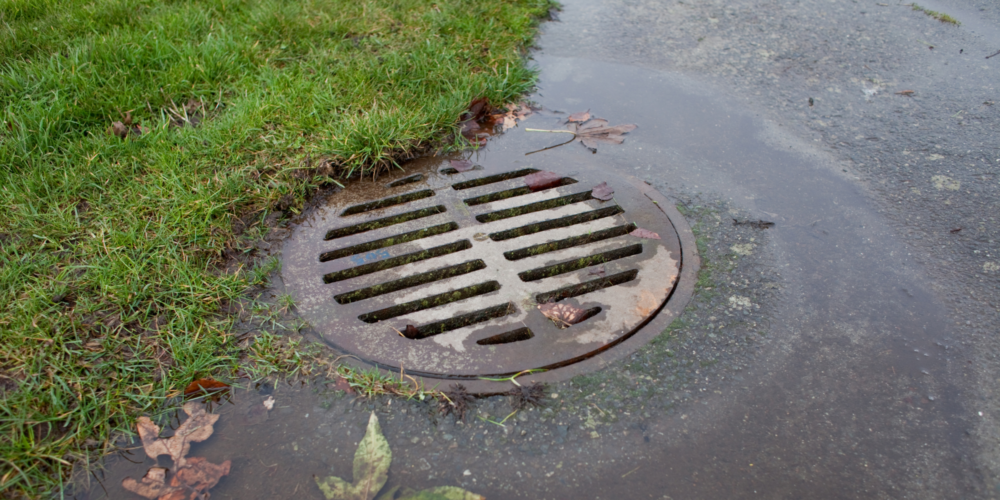 Walk the Property After a Rainstorm