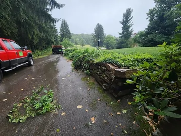 A wet driveway lined with green bushes and trees, with a red utility truck and another vehicle parked on the left. Branches and leaves are scattered on the ground near a stone wall. The sky is overcast.