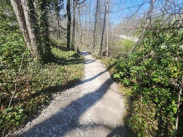 A sunlit dirt trail winds through a forest with green foliage on both sides. Trees cast shadows across the path, and a road is visible in the background under a clear blue sky.