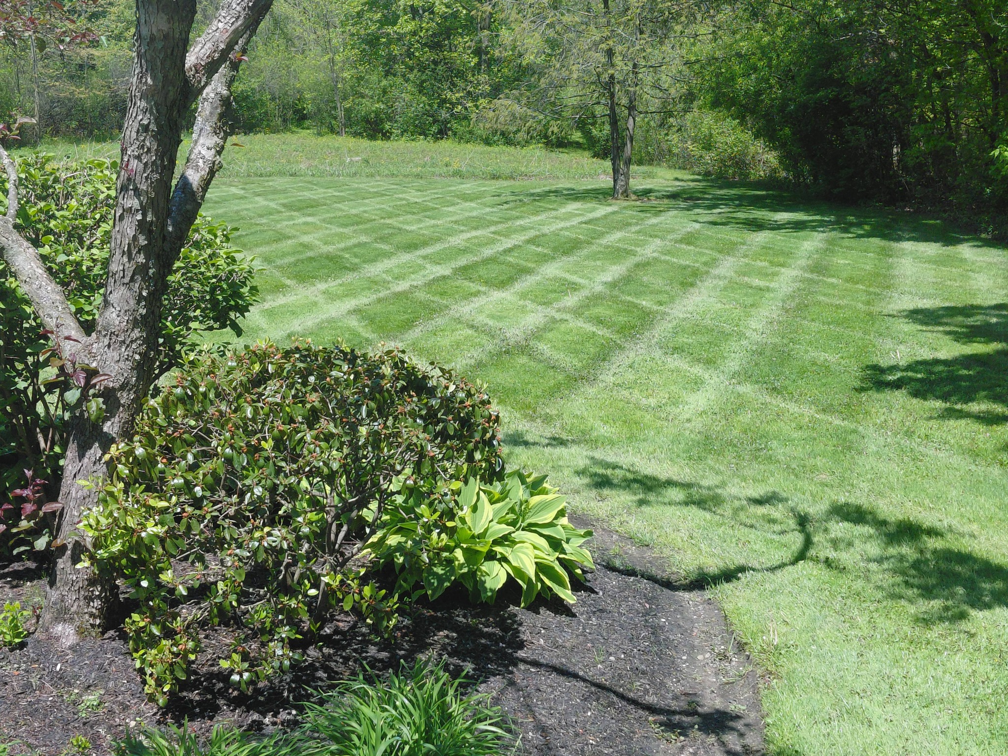 Summer Landscape Success in NE Ohio