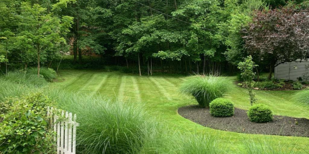 Summer Landscape Success in NE Ohio