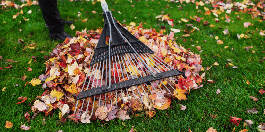 8 Tasks to Complete Before Fall and Winter